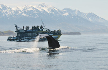 Grand New Zealand - Day 11