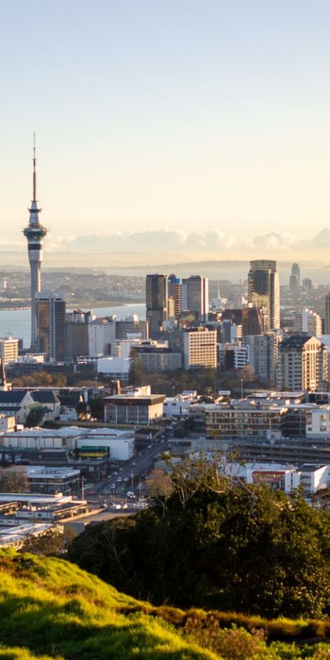 Buildings in Auckland (credit Fanaticals)